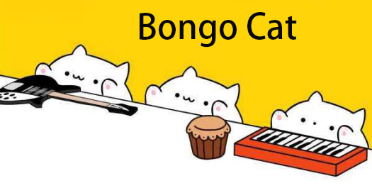 Bongo catèδ۾Bongo catè̴۾̳